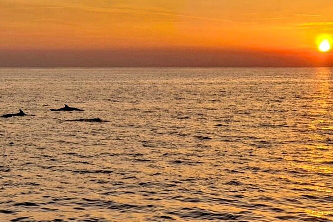 Private Boat Tour with activities in Pula Croatia - The ride back along Pula’s coast