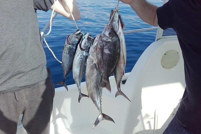 Private fishing tour - Setting out from Lapadska obala 4