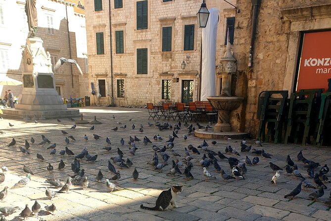 Private Fort Lovrijenac and Dubrovnik City Tour - Finishing at St. Ignatius Church and the Baroque stairs
