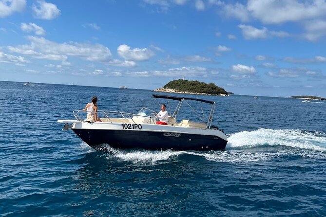 Private Guided Sunset Dolphin Watching in Adriatic Sea - Skippers who shape the experience
