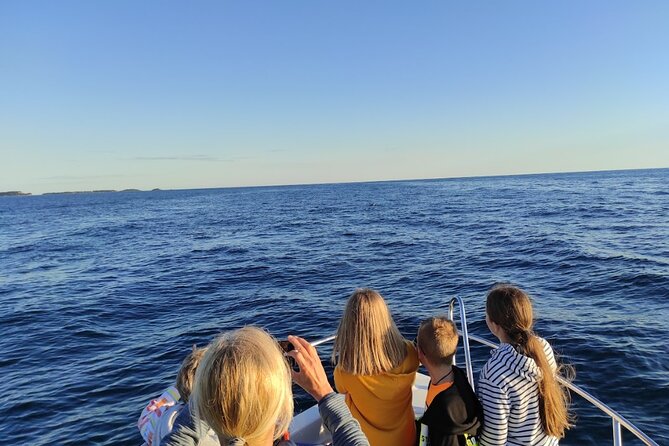 Private Guided Sunset Dolphin Watching in Adriatic Sea - Meeting wild dolphins with care