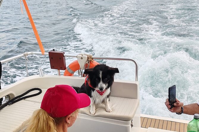 Private Half-Day Boat Excursion in Pula - Seeing Brijuni from the far side