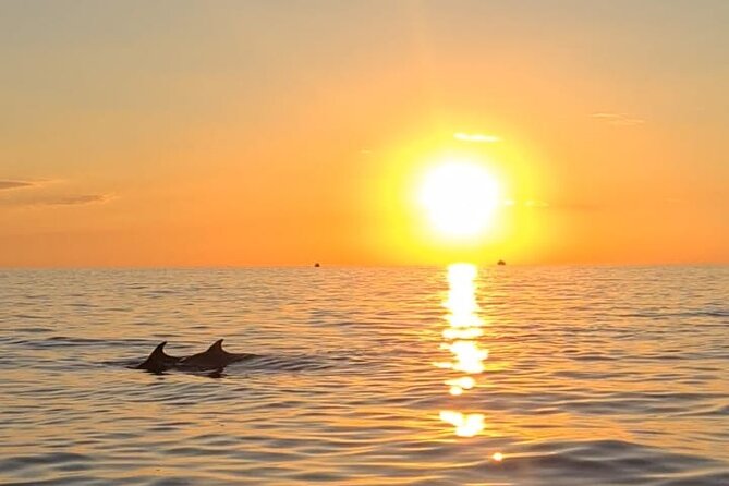 Private Half-Day Boat Excursion in Pula - Comfort, access, and useful practical details