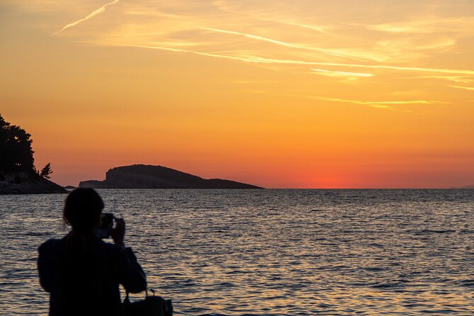 Private Half-Day Speedboat Guided Tour of Dubrovnik Islands - Who will get the most from this island trip?