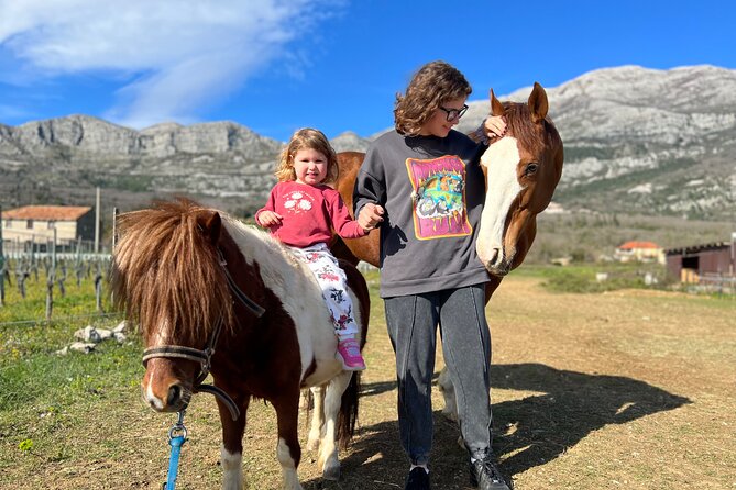 Private Horseback Riding and Family Time in Konavle Region - Who will enjoy this experience most