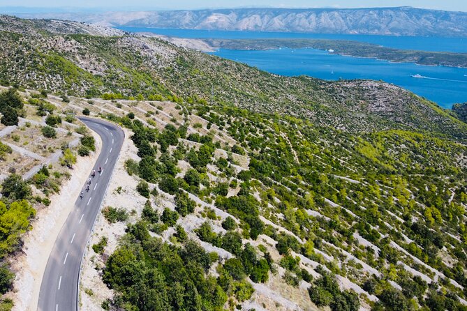 Private Hvar Island Bike Tour and Wine Tasting - What $117.89 buys you