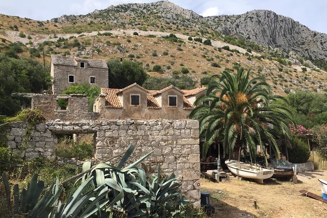 Private Hvar Island Tour and Olive Oil Tasting - Svirče and the olive oil tasting