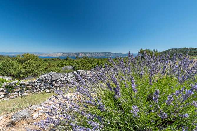 Private Hvar Wine Tasting Tour - Three hours requires sensible expectations