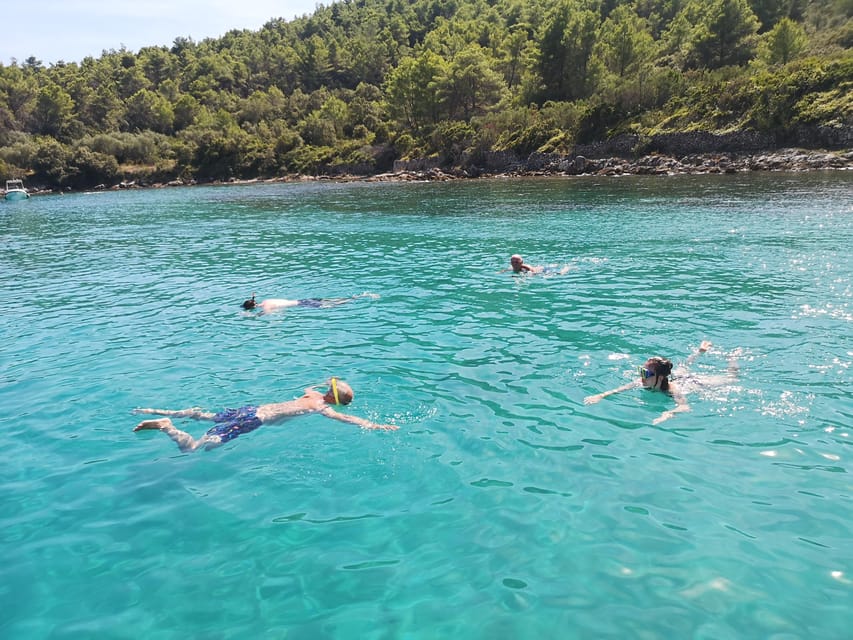 Private Island Hopping Boat tour around Zadar with Drinks - Price, refreshments, and the real cost
