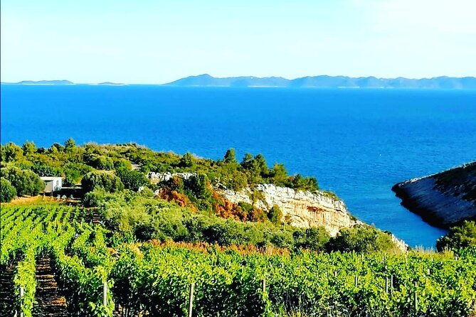 Private Korcula wine tour and tasting - Five wines at Black Island Winery