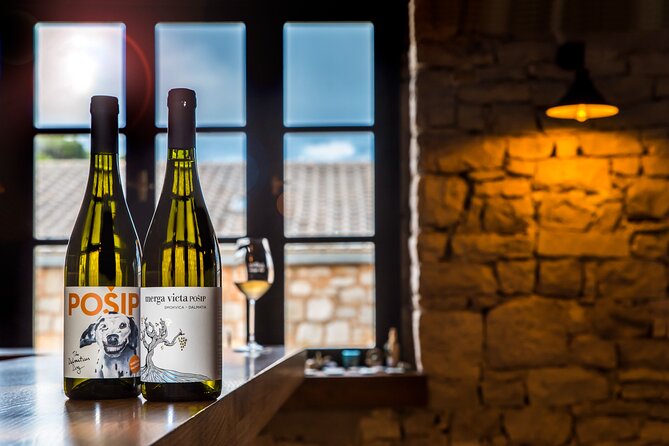 Private Korcula wine tour and tasting - Who should book this experience?