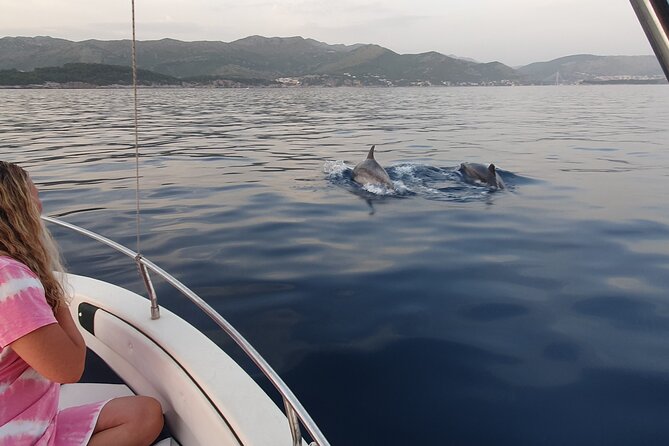 Private Local Guided Speedboat Tour in Dubrovnik Archipelago - Lopud village adds a taste of island life