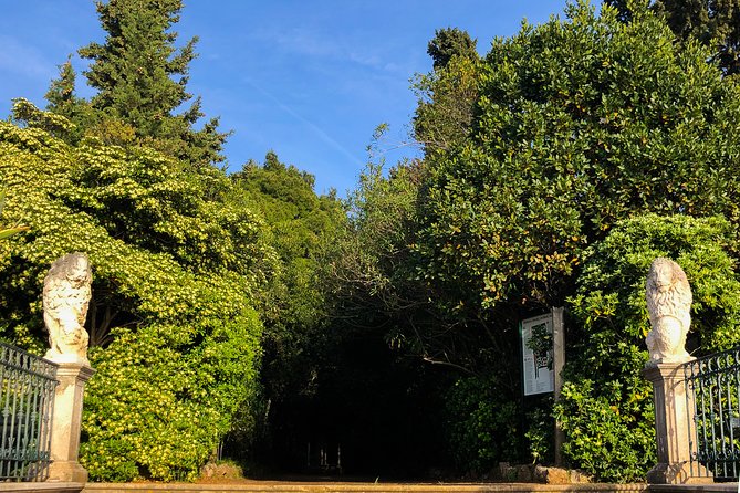 Private Lopud Walking Tour - The House of Zamanja Pavlina and the cost of inheritance
