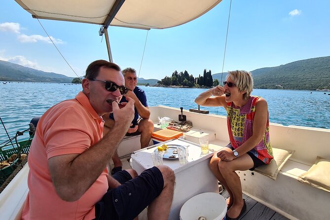 Private Oyster and Wine Tasting Day Trip along Peljesac - Walking Ston’s famous walls