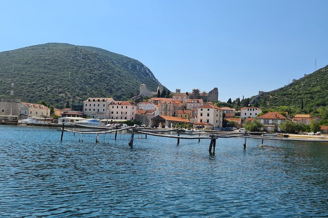 Private Oyster and Wine Tasting Day Trip along Peljesac - What the $297.85 price really covers