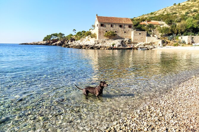 Private Speed Boat Tour of Hvar South Shore & Pakleni islands - Palmizana pairs lunch with a garden walk