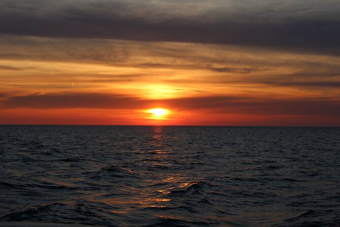 Private Sunset Dolphin Excursion with Dinner and Animation - Setting off from Medulin at 5:30 pm