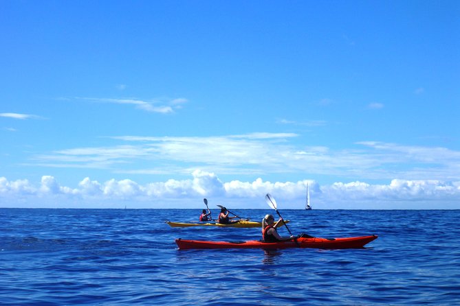 Private tour: Sea Kayaking & Snorkeling to Green Cave on Sipan island from Lopud - Who will enjoy this Sipan kayaking day