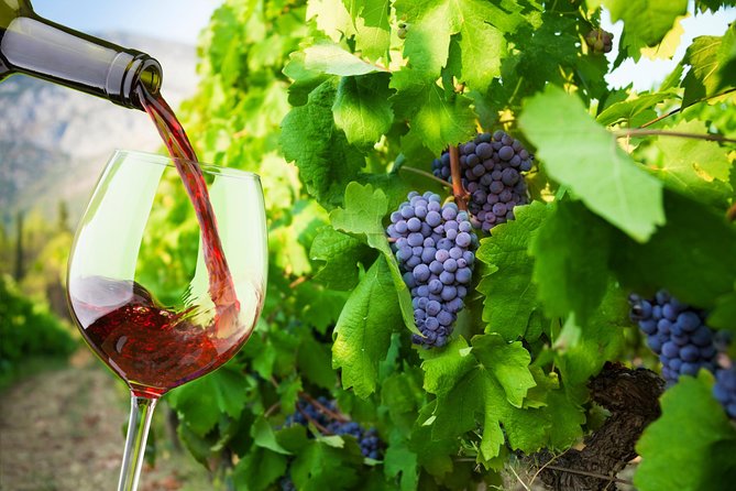 Private Tour: Ston and Peljesac Peninsula Day Trip with Wine Tasting - Key points at a glance