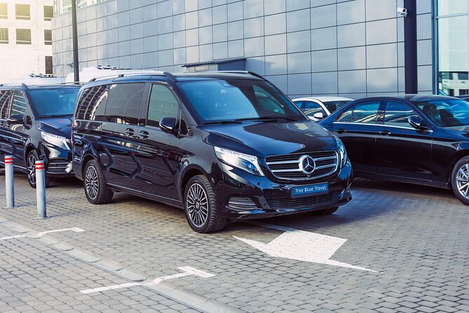 Private Transfer Dubrovnik Airport to Accommodation in Dubrovnik - Accessibility, luggage help, and service animals
