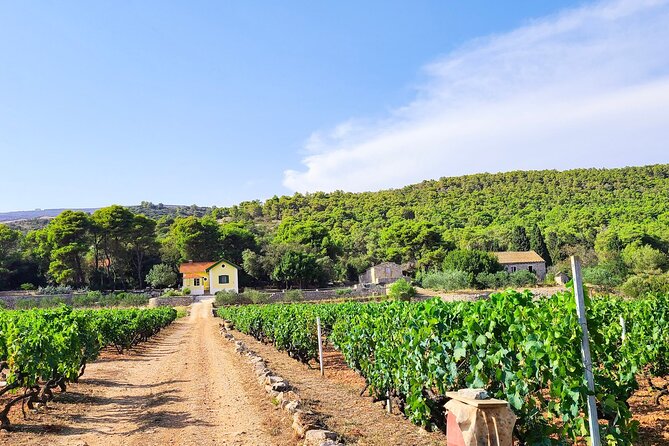 Private Wine and Gin Tour Around the Island of Korcula - What the private format changes