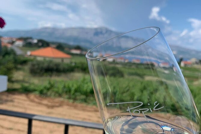 Private Wine and Gin Tour Around the Island of Korcula - Who should book this Korcula wine tour
