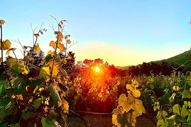 Private Wine Tasting Under The Stars With Sunset Panorama - Why the private format matters