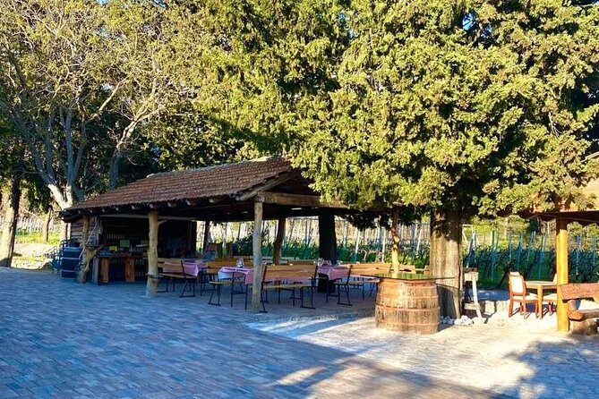 PRIVATE Wine Tour to Konavle country side - The guides can shape the whole afternoon