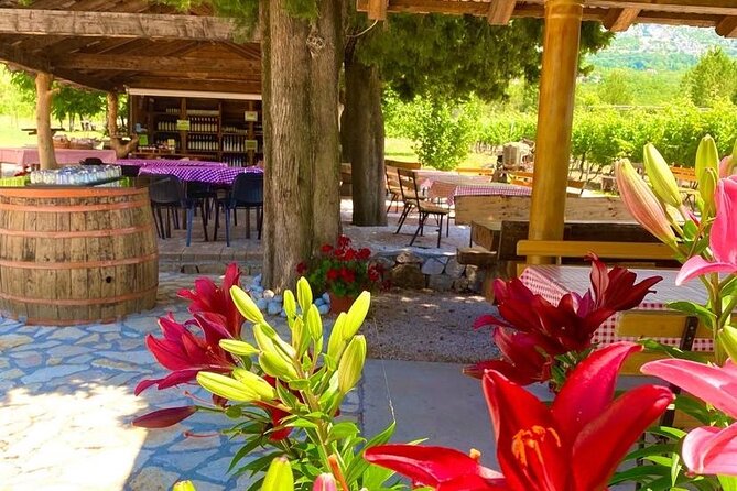 PRIVATE Wine Tour to Konavle country side - Timing, pickup, and the strict cancellation rule