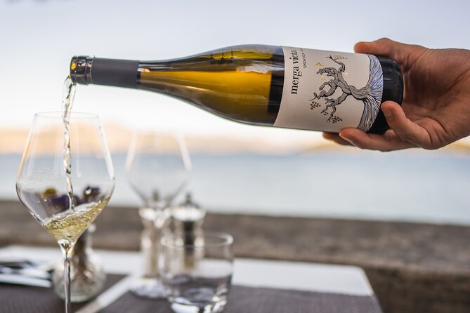 Private Winemaking of the Island of Korčula - The first tasting plate: Dalmatian food with local wine