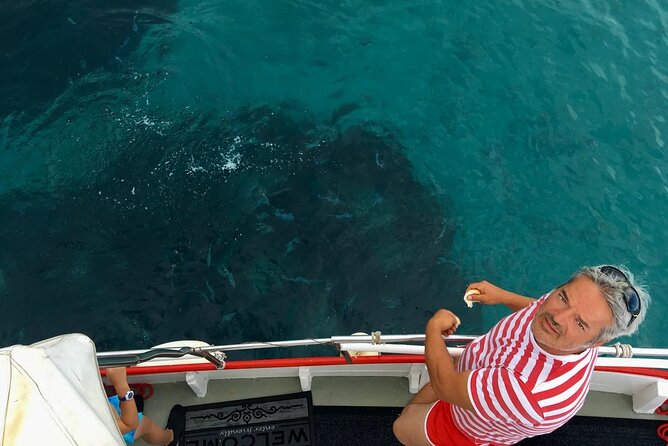 PUBLIC 5h Plavnik Island swimming & snorkeling Half-day Boat trip - Captain Bobo and the human side of the trip