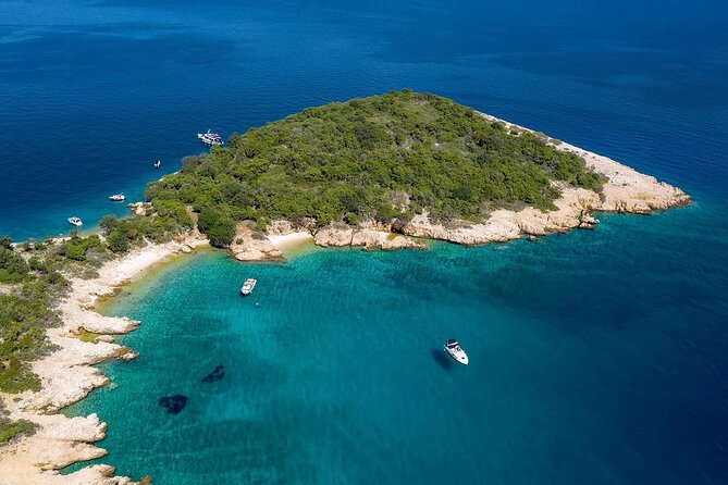 PUBLIC 5h Plavnik Island swimming & snorkeling Half-day Boat trip - How the flexible schedule affects your day