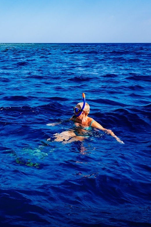 Pula: 2.5-Hour Snorkelling Experience - Swimming above the rocky shore