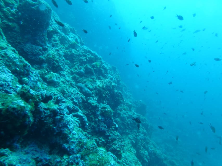 Pula: 2.5-Hour Snorkelling Experience - Practical advice for a smoother outing