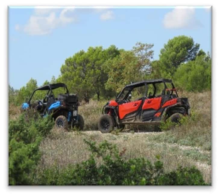 PULA AND ROVINJ: BUGGY FAMILY SAFARI 1, 2 & 4 H - Choose Barban near Pula for bigger views and more time
