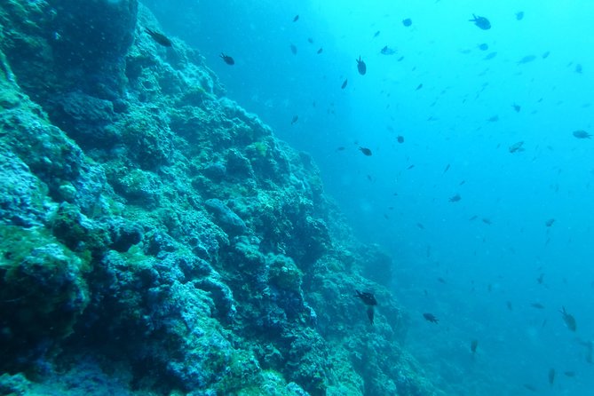 Pula Boat Trip with Snorkeling - My practical advice before you go