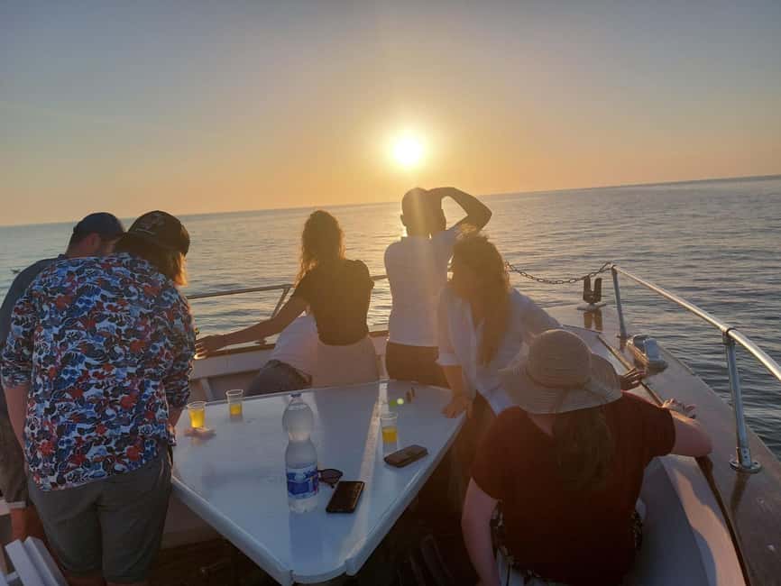 Pula: Brijuni National Park Dolphin Watching Tour w/Dinner - What $62 buys you