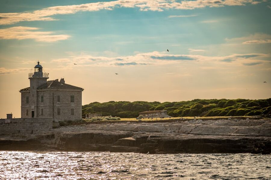 Pula: Brijuni National Park Sunset, Dolphins & Dinner Cruise - Who will enjoy this cruise most?