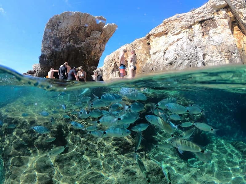 Pula: Cave Kayak, Snorkeling, Cliff Jumping All-in-one Tour - Guides, languages, and the feel of a small group