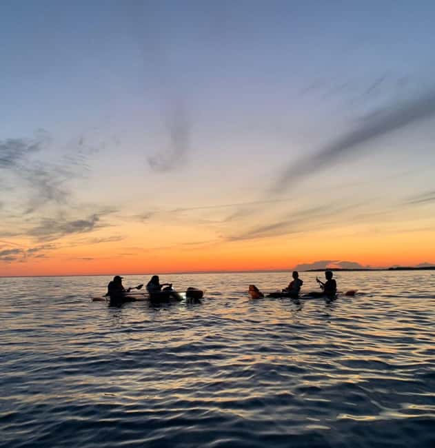 Pula: Cave Sunset/Night Tour in Transparent Kayak - Caves, cliffs, stars, and possible dolphins