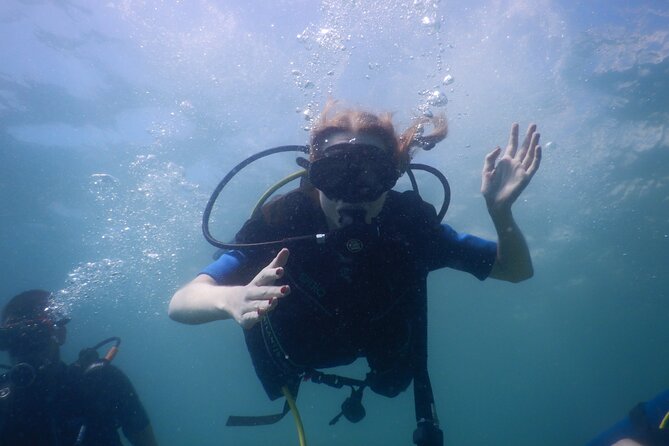 Pula Discover Scuba Diving Package - Starting at Orca Diving Centre in Pula