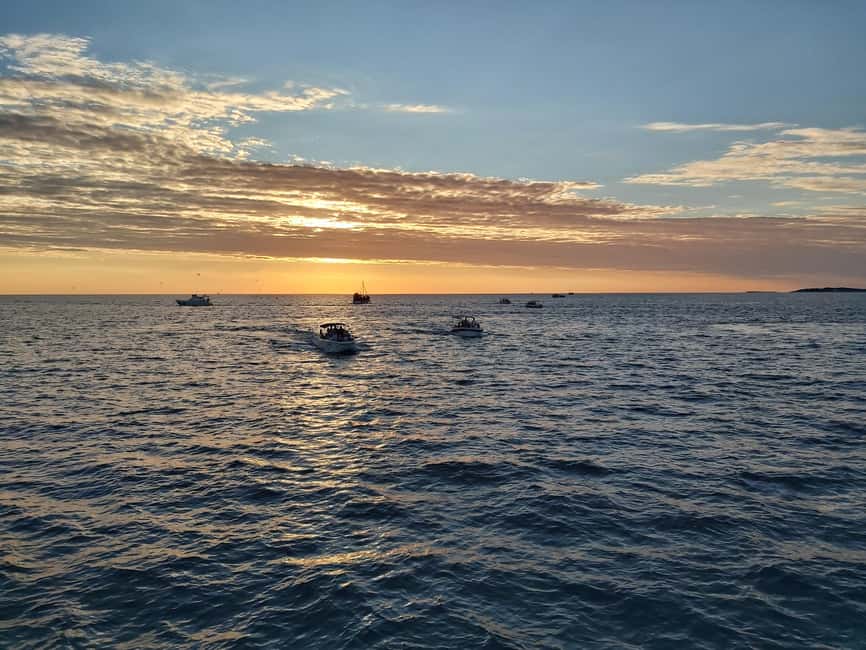 Pula: Dolphin Sunset Cruise to Brijuni with Dinner & Drinks - Starting beside Pula Arena