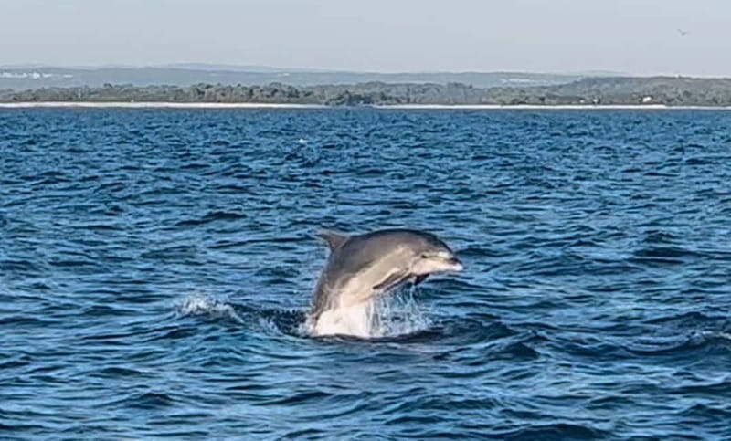 Pula: Dolphin-Watching Cruise at Sunset with Dinner & Drinks - Sunset over the water and Pula’s Lighting Giants
