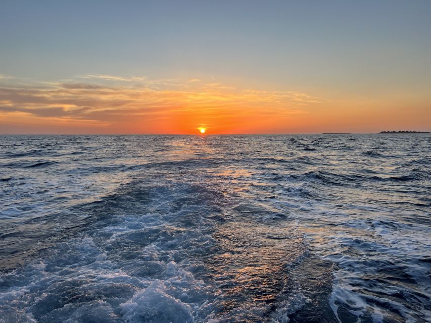 Pula: Dolphin Watching Sunset Cruise with Dinner & Drinks - Should you book the Pula dolphin sunset cruise?
