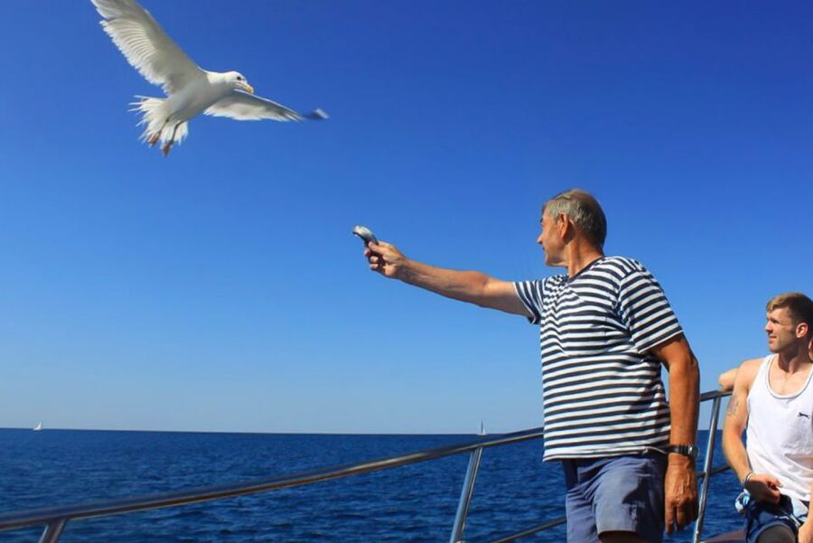 Pula: Dolphin Watching Sunset Cruise with Dinner & Drinks - Setting sail from Pula Harbour