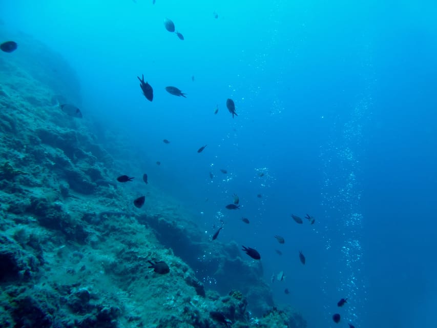 Pula: Introduction to Scuba Diving - Practical ways to enjoy the experience
