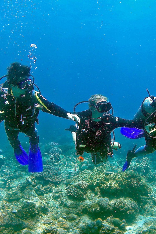 Pula: Introduction to Scuba Diving - What you might see below the surface