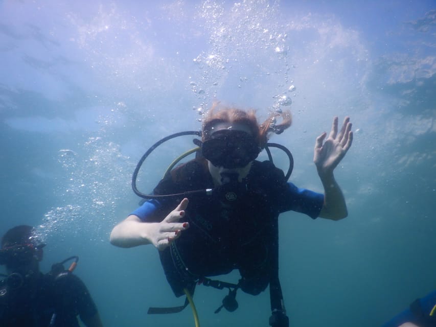 Pula: Introduction to Scuba Diving - Is $100 a fair price?