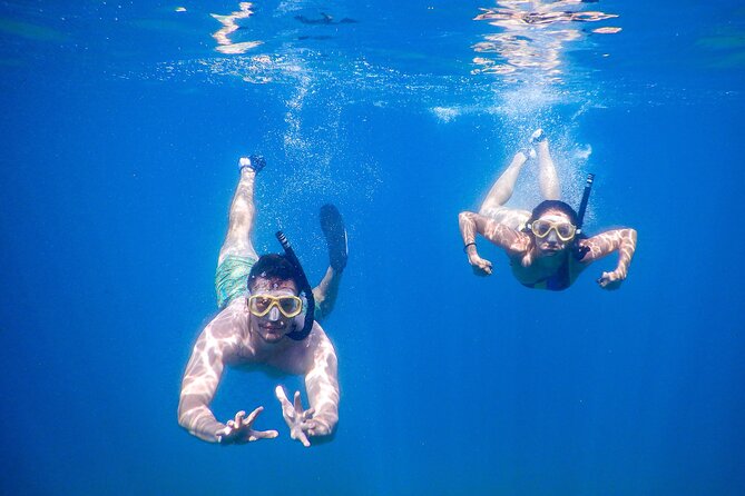 Pula Kayak, Cliffs & Snorkeling Adventure - Fitness, age, and family suitability