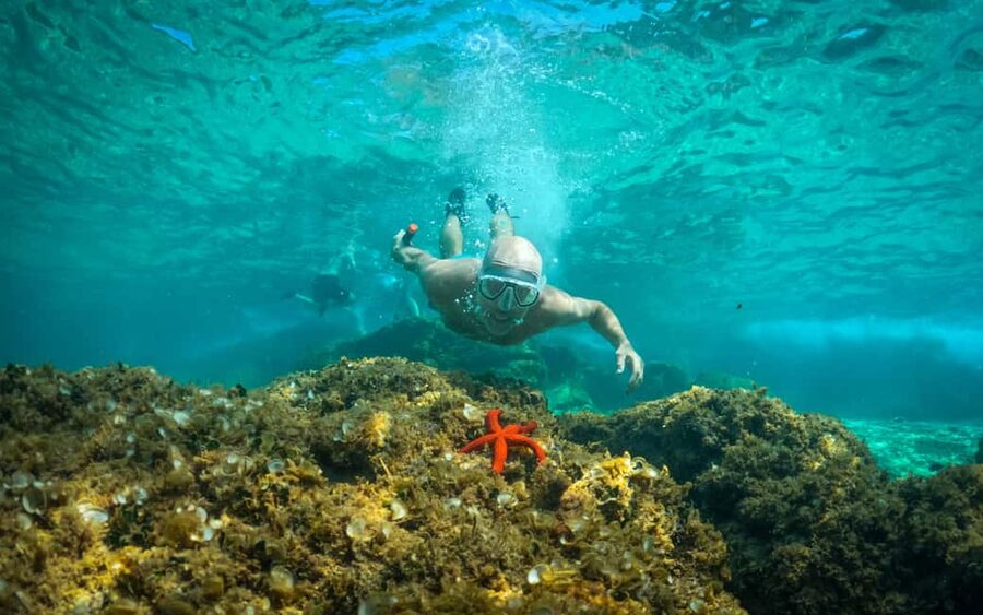 Pula: Kayaking,Snorkeling, Cliff jumping Tour with Wetsuit - Key points to know before you book